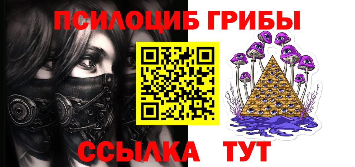 Галлюциногенные грибы Psilocybe Луга